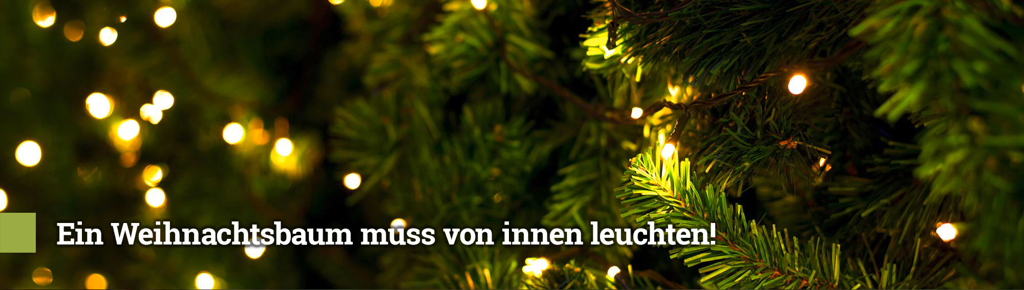 Weihnachtsbaum selbst schlagen