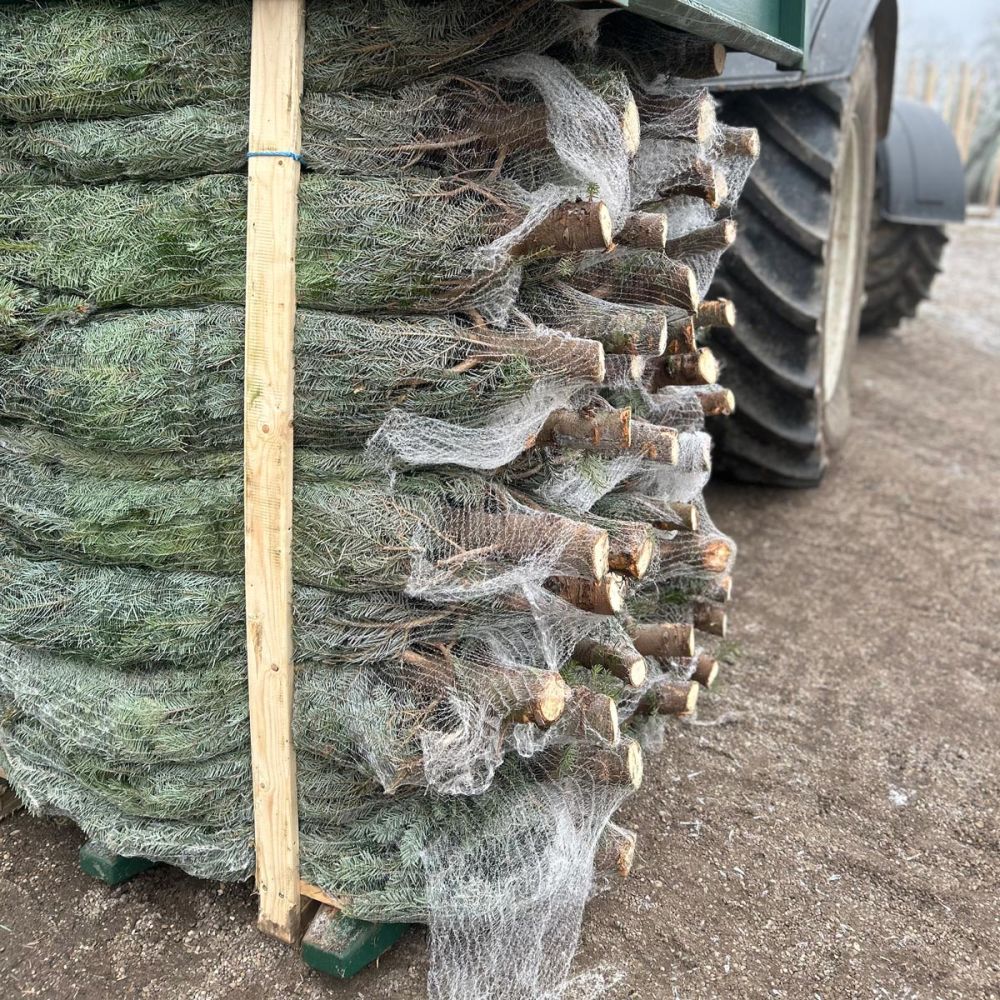 Verladung in Paletten – individuelle Bestückung Verladung in Paletten – individuelle Bestückung