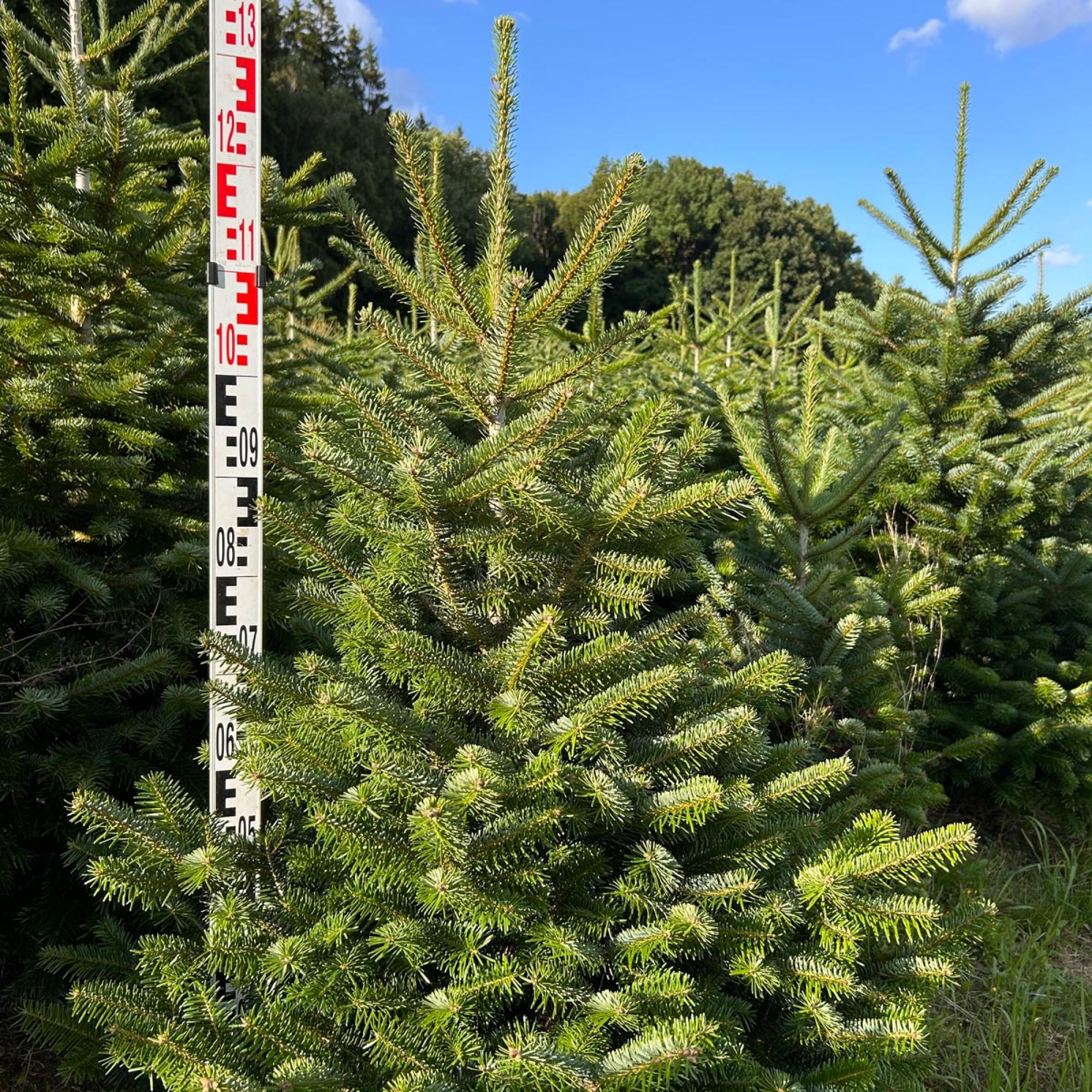 Naturhof Grimm Naturhof Grimm