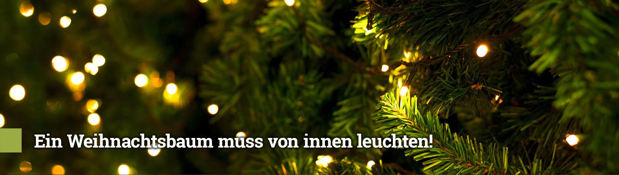 Ein Weihnachtsbaum muss von innen leuchten! Ein Weihnachtsbaum muss von innen leuchten!