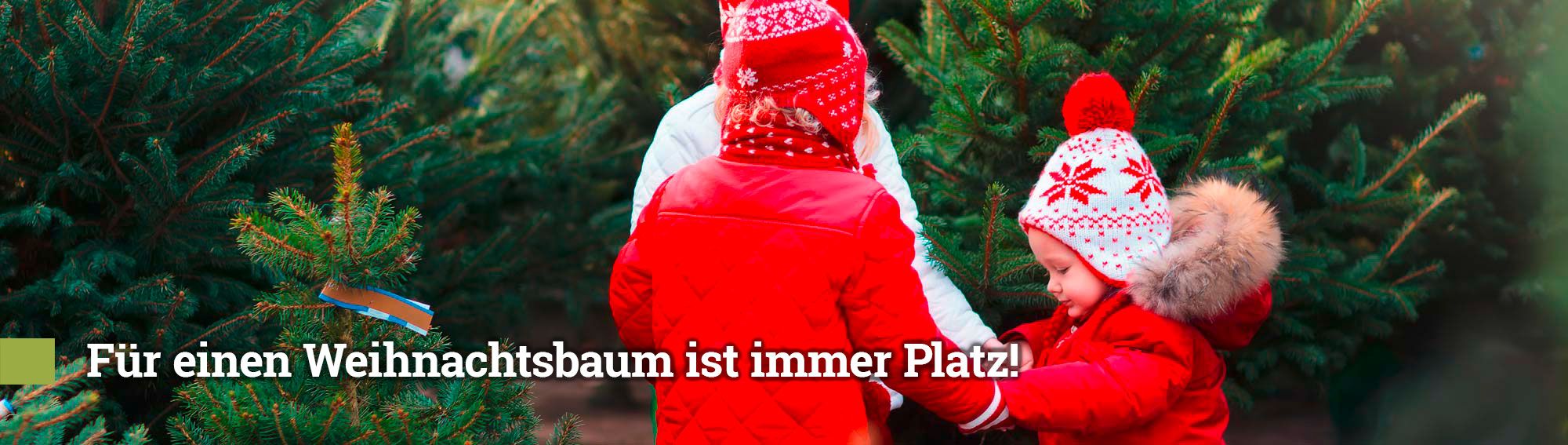 Für einen Weihnachtsbaum ist immer Platz! Für einen Weihnachtsbaum ist immer Platz!