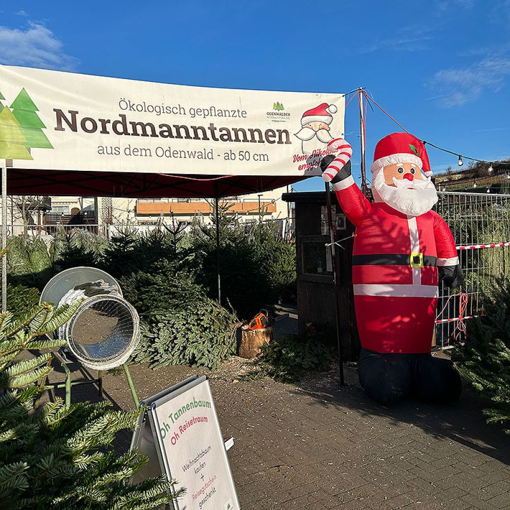 Eingang zu unseren Weihnachtsbaumständen